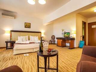 Отель Kamengrad Hotel & SPA Панагюриште Двухместный номер Делюкс с 1 кроватью-1